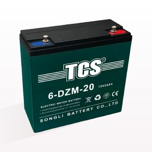 TCS綯 6-DZM-20